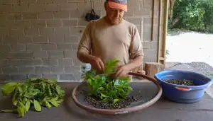 UHE Furnas: O rigor técnico por trás das 5 fases de produção das nossas mudas nativas.